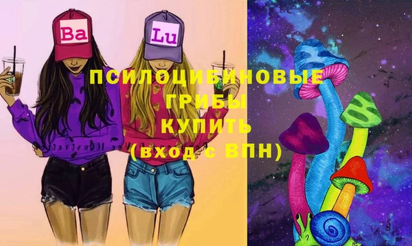 PSILOCYBIN Баксан