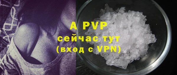 PSILOCYBIN Баксан